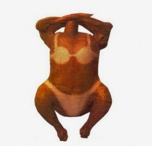 Happy Thanksgiving with Sexy Turkey